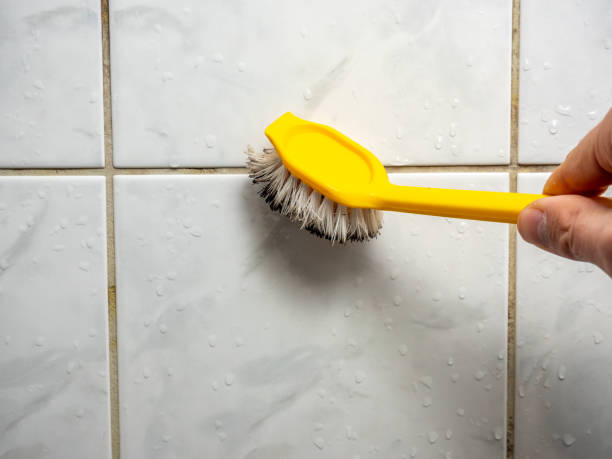 Office Mold Removal Services in Iuka, MS