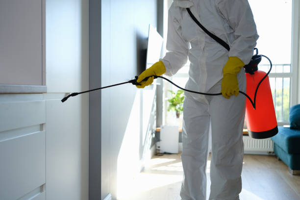 Best Mold Remediation Services  in Iuka, MS