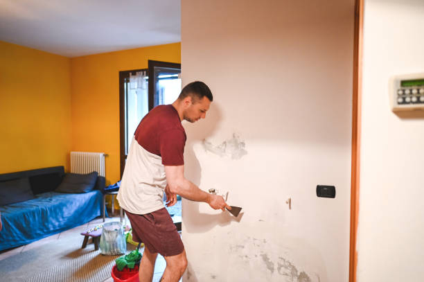 Best Certified Mold Removal  in Iuka, MS
