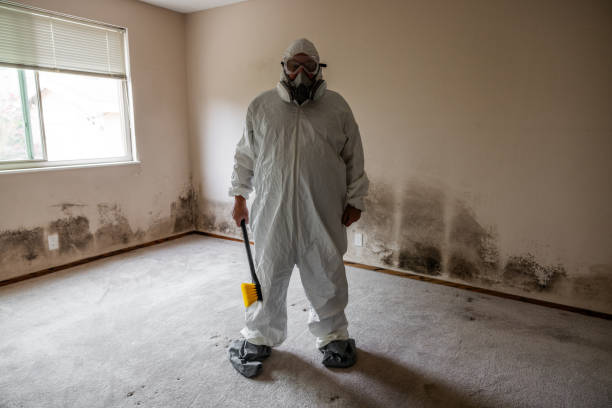 Best Toxic Mold Removal  in Iuka, MS