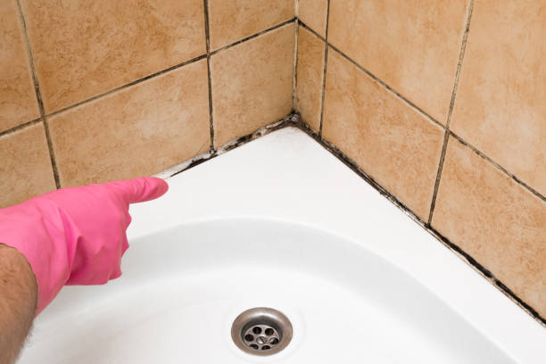 Best Water Damage Restoration  in Iuka, MS